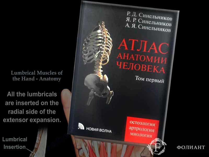 atlas-of-anatomy-of-human-body-Foliant_Kg
